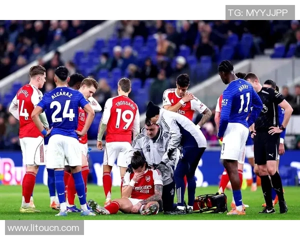 西布朗维奇主场迎战莱斯特城期待精彩对决与精彩进球