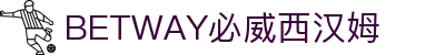 中国·必威(bw·西汉姆联)有限公司-Official website