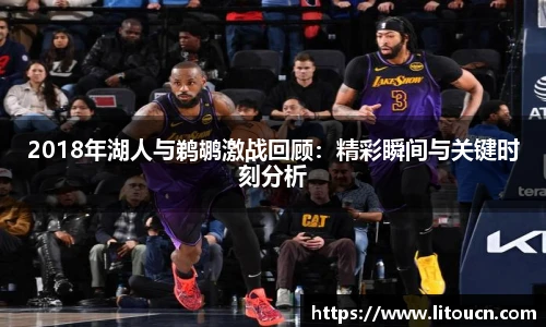 芒果体育官网入口