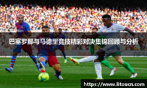 芒果体育官网入口