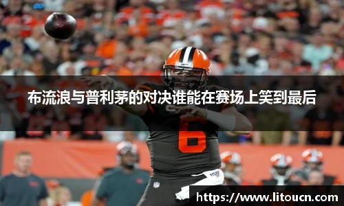 芒果体育官网入口