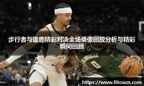 芒果体育手机网页版登录