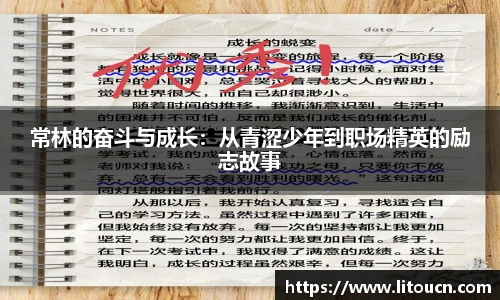 芒果体育官网版