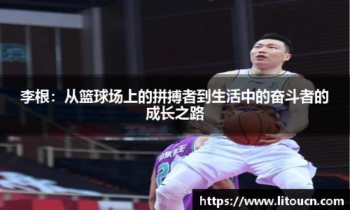 芒果体育官网入口