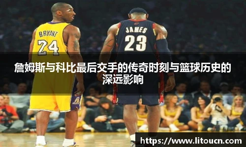 芒果体育官网入口