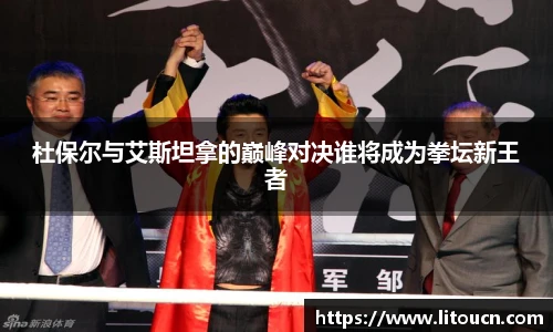 芒果体育官网入口